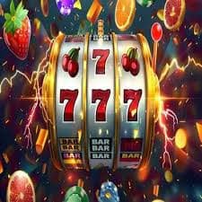 w88 213
